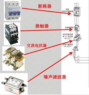 脑和神经系统